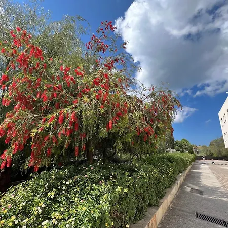 شقة Sea-view Eco-apartment B110 Polis