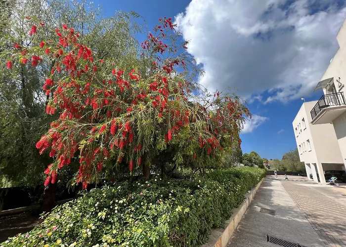 דירה Sea-view Eco-apartment B110 Polis